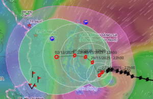 Dự báo về bão số 15 Koto